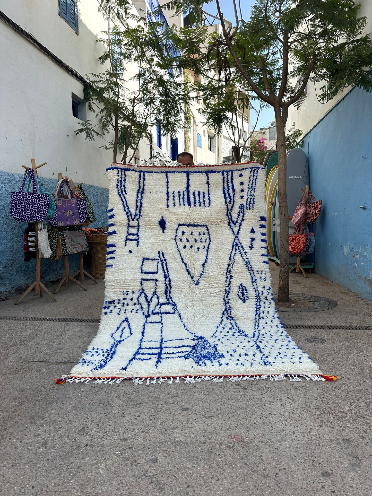 250 x 150 cm || 8.2 x 4.92 ft